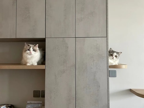 貓肥家潤--成都小夫妻硬磕85㎡小兩居，處處叫絕