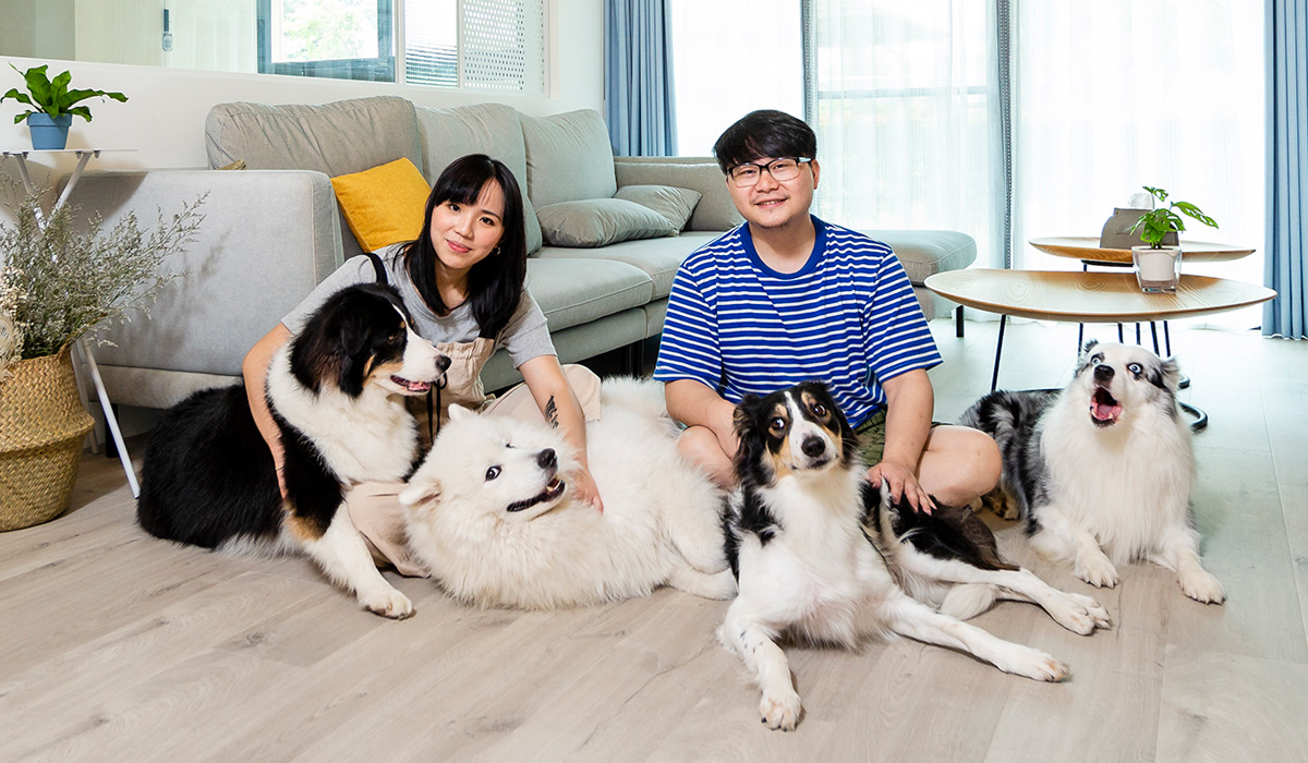 「執(zhí)子之爪」Happy宅，4只汪の游樂(lè)園之家，養(yǎng)寵教科書(shū)~ 