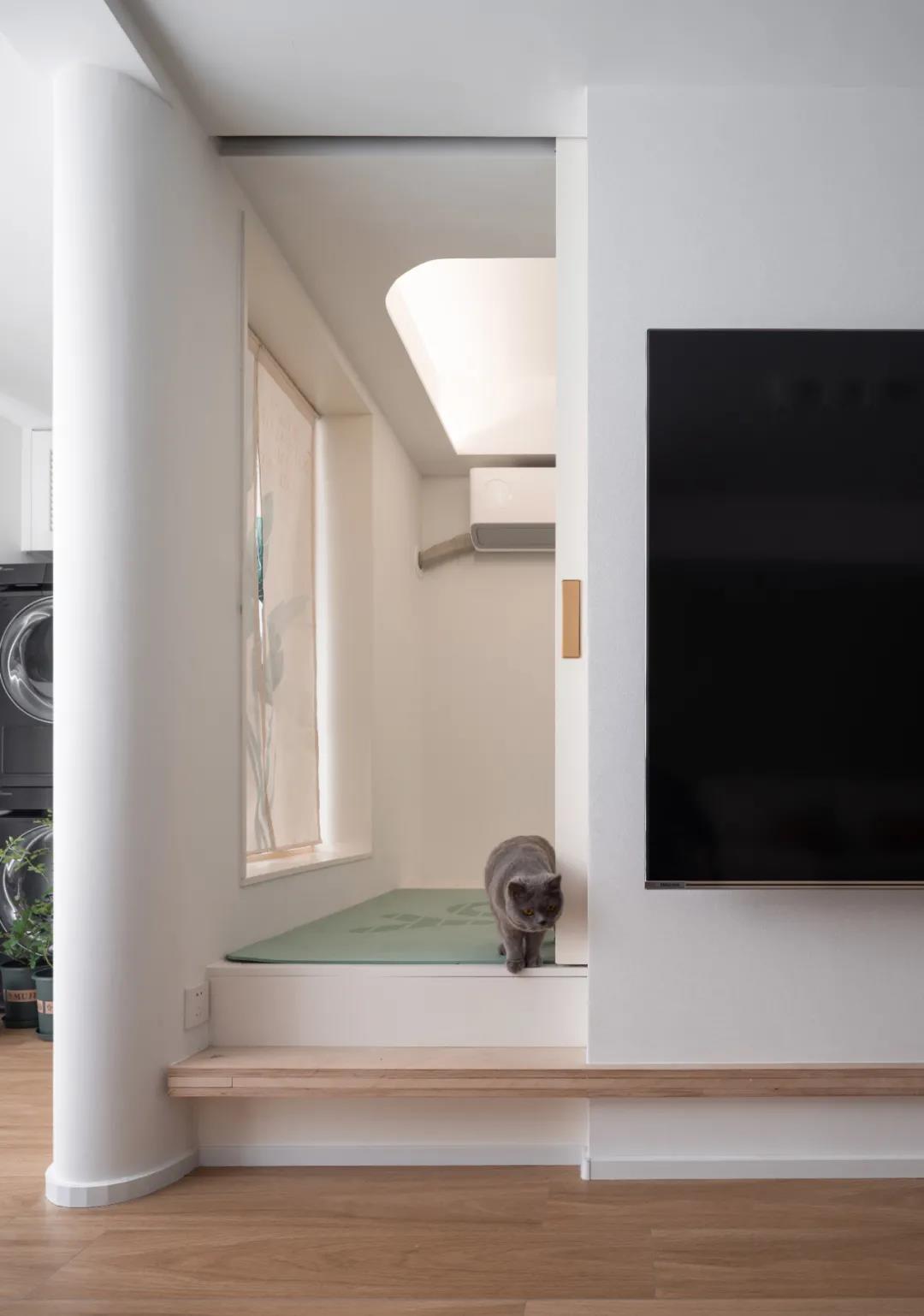 78㎡超極限規(guī)劃“貓咪樂園”，過道變書房，功能性max！